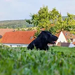 Hof Am Lichtenberg * Heisebeck