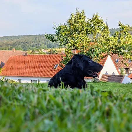 Hof Am Lichtenberg * Heisebeck