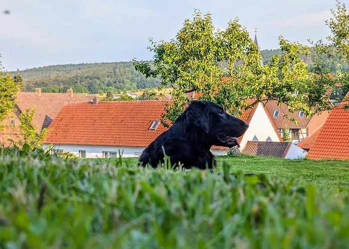 Hof Am Lichtenberg * Heisebeck