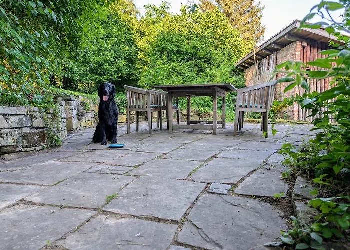 Hof Am Lichtenberg Σπίτι διακοπών